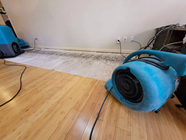 Professional Structural Drying technician working in Clinton, MA